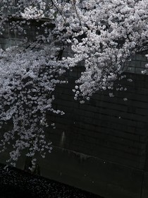 南北的季