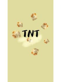 TNT：日常记录