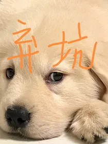暖冬照夏凉