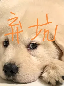 七五折：穿越时空拥抱你