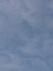 没关系，也许我也是魁地奇疯子