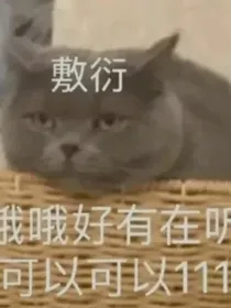 赛尔号之无影无踪