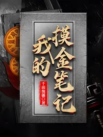 我的摸金笔记