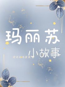 玛丽苏小故事