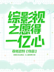综影视之愿得一亿心
