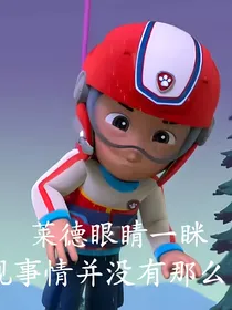 汪汪队末世生存之重生开启末世神级系统