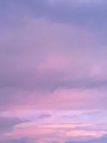 随安忆梦