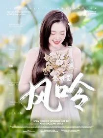 全明星：风吟