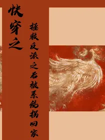 快穿之拯救了反派之后被系统拐回家