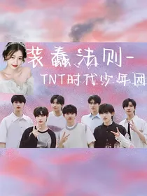 TNT：装蠢法则