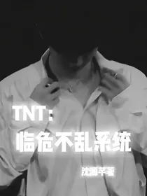 TNT：临危不乱系统