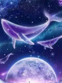特种兵学校：星辰闪耀光影