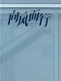 向风而行电视剧剧情