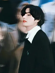 BTS：灵猫的七个主人