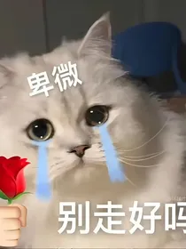 闲聊几句而已