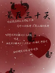 最后的三十天