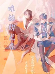 司马懿中心向：唯懿的光亮