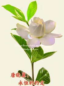 唐晓翼：永恒的约定