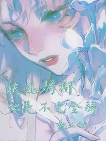 扶风弱柳，但是不完全弱
