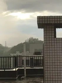 常青等松柏