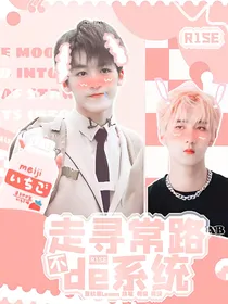 R1SE：不走寻常路的系统