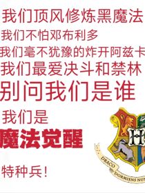 HP魔法觉醒玩家穿越到原著的崩坏生活