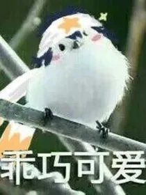 希腊女神们的聊天群后续