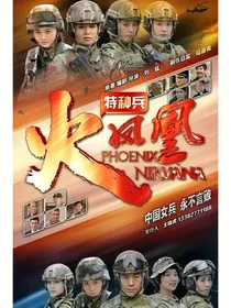 特战兵之火凤凰改编