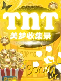 美梦收集录（TNT）