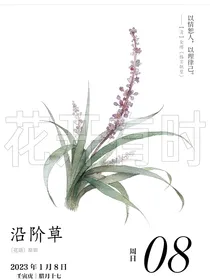 青色的往事