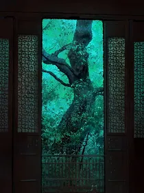 风月海棠花依旧