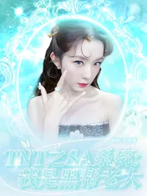 TNT之SA系统：我是黑帮老大