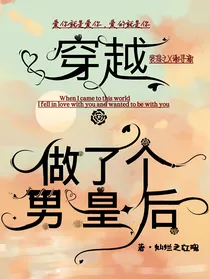穿越：做了个男皇后