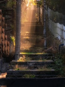 救赎（jiushu）