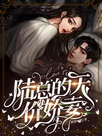 陆少的天价小娇妻