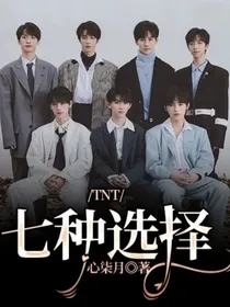 TNT：七种选择