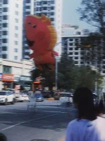 玖柒贰叁的碎碎念