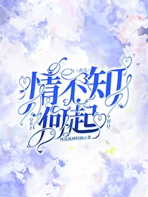查九：情不知何起