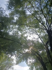 你来的那天有风