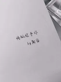 将灿烂予你