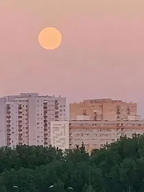 昼夜楠安
