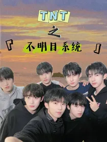 TNT：不明目系统