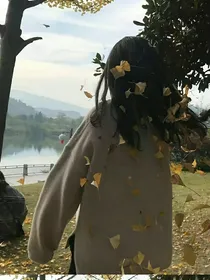 落叶恒林