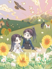 文件袋