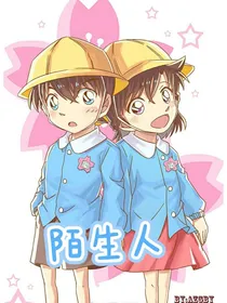 新兰永恒之陌生人