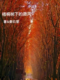 梧桐树下的微风