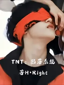 TNT：陷落系统