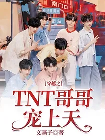 穿越之TNT哥哥宠上天