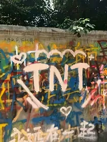 TNT：请炮灰别作