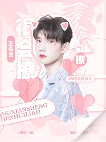 王先生很会撩